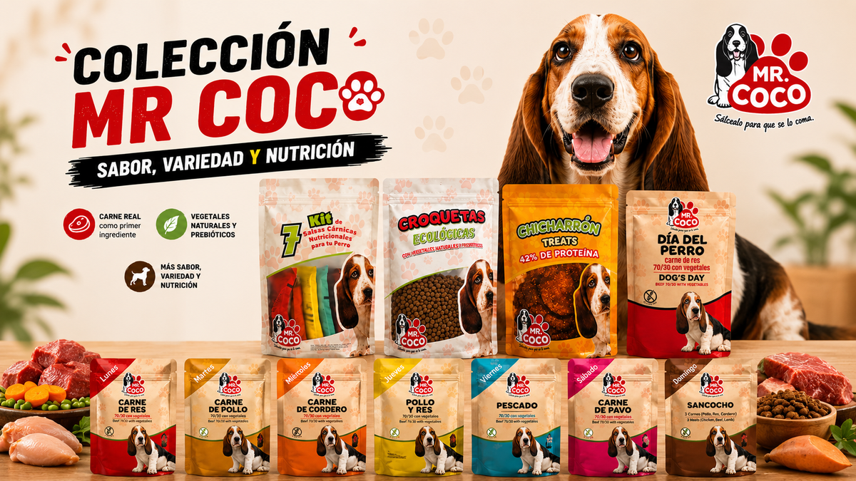 ALIMENTOS Mr. COCO