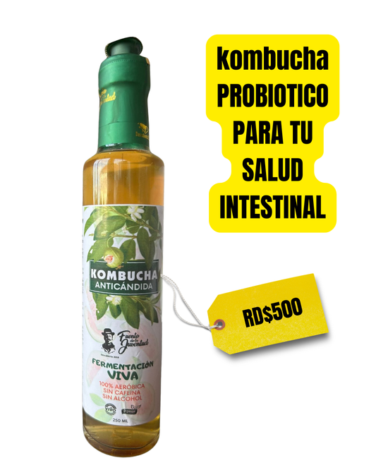 KOMBUCHA ANTICÁNDIDA – 250 ml