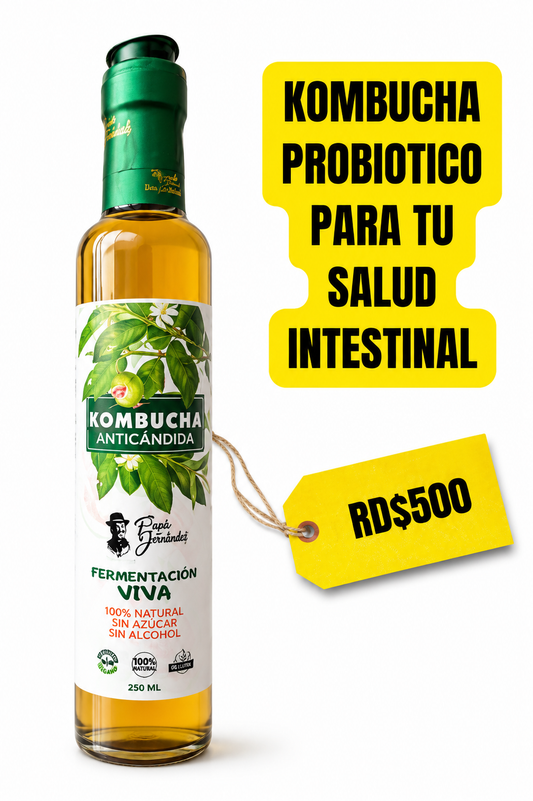 KOMBUCHA ANTICÁNDIDA – 250 ml
