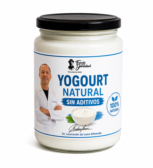 YOGOURT NATURAL SIN ADITIVOS